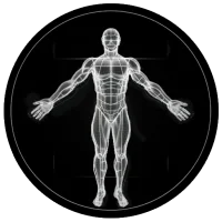 BodBot AI Personal Trainer